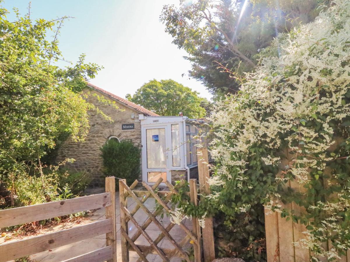 Mimosa Cottage, West Bexington Swyre Exterior foto